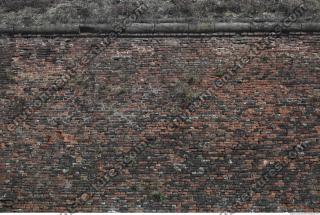 photo texture of wall brick overgrown 0007